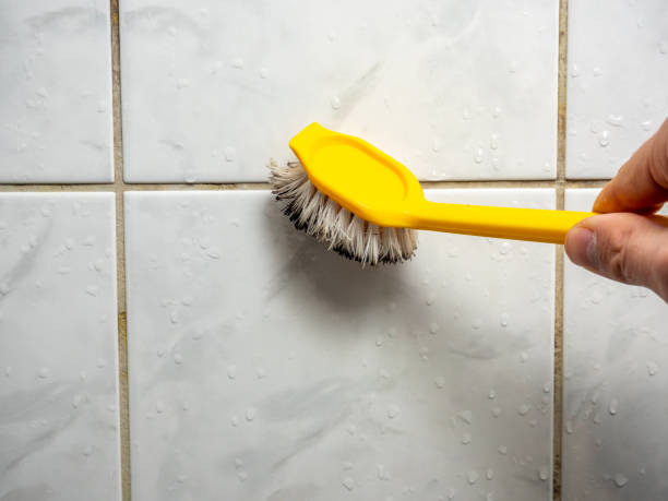 Best Same-Day Mold Removal  in East York, PA