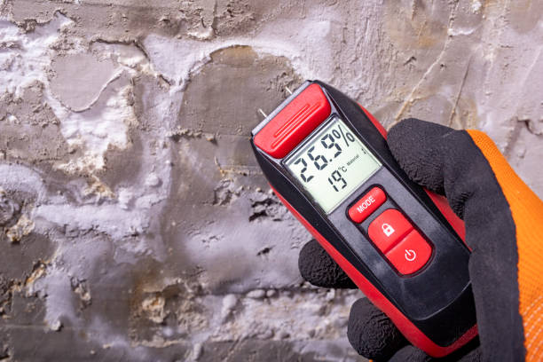 Best Local Mold Removal Service  in East York, PA