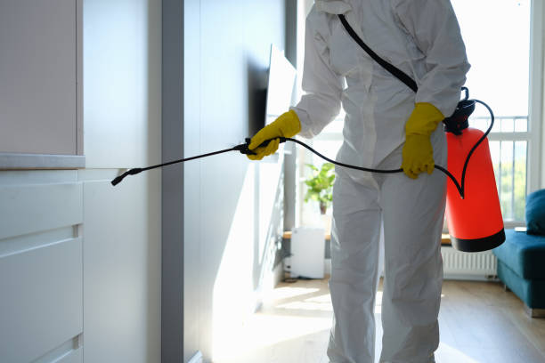 Best Residential Mold Removal  in East York, PA