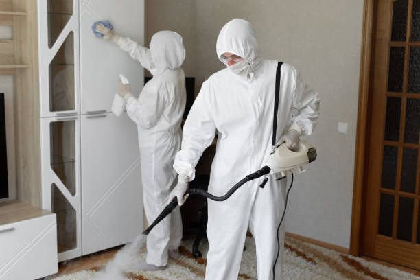 Best Toxic Mold Removal  in East York, PA
