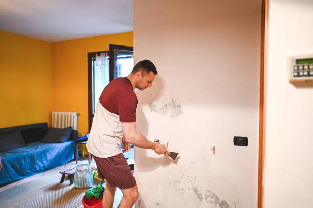Best Commercial Mold Removal  in East York, PA