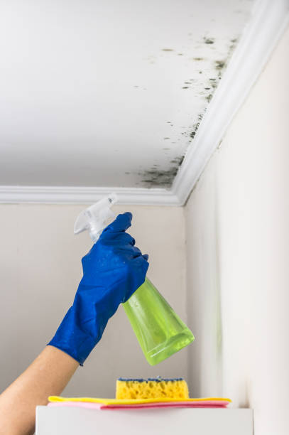 Attic Mold Removal in East York, PA